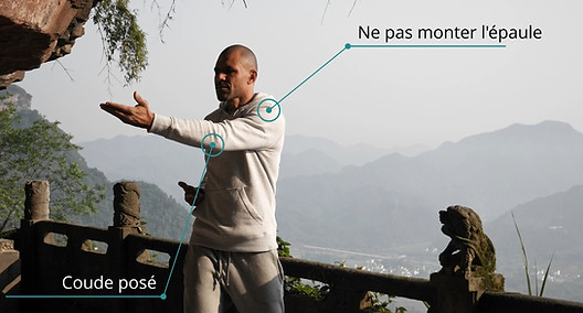 qi gong digestion.jpg