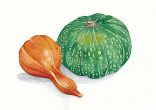gourds.jpg