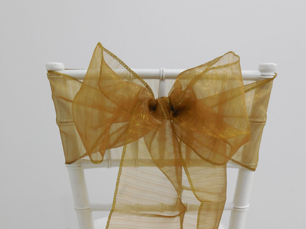 Trellis Gold Organza Sash