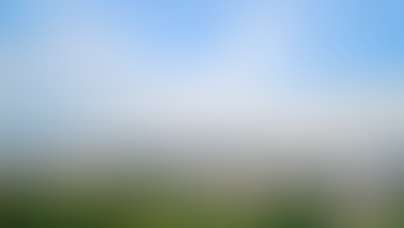 Vue panoramique du centre-ville de Montréal depuis le mont Royal, avec la skyline de la ville au-dessus d’une forêt d’arbres verts sous un vaste ciel bleu.