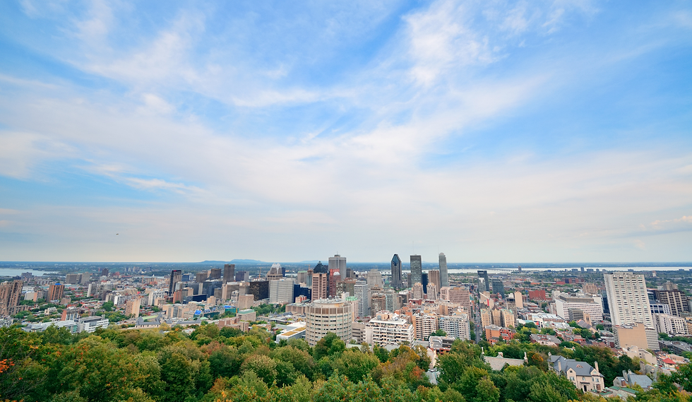 Vue panoramique du centre-ville de Montréal depuis le mont Royal, avec la skyline de la ville au-dessus d’une forêt d’arbres verts sous un vaste ciel bleu.