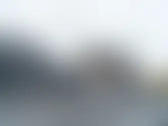 selective focus of building with windows near rooftop shingle