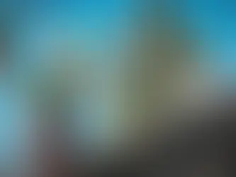 man in uniform clean the roof with soft wash hose