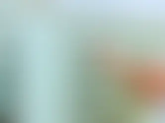 How to Choose Energy-Efficient Siding for Your Morris County Home