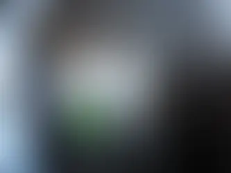 vehicle interior sanitization and disinfection by cleaner