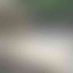 Building the retaining walls