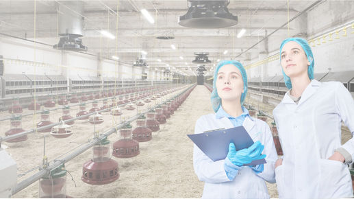 Air, Water + Surfaces: oji active air Automatic Disinfection System for Livestock Farming