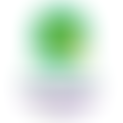 atrapante micotoxinas