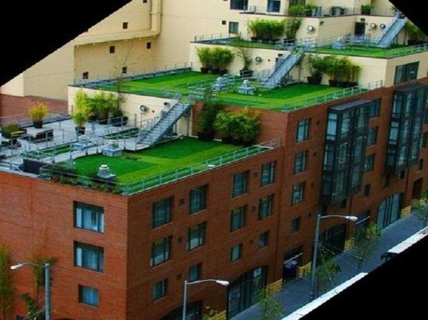 techos-verdes-1