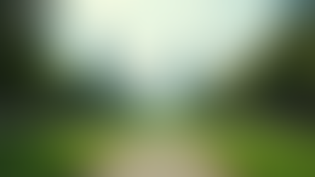 Noticias Locales Destacadas con Mundonetradio