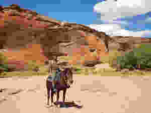 Horses Trekking inside the Canyon