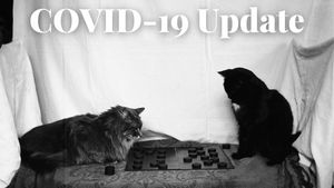COVID-19 Update at the Crowsnest Museum