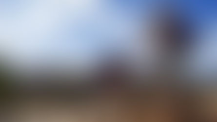 The Shortcut to Success is a Long Journey…