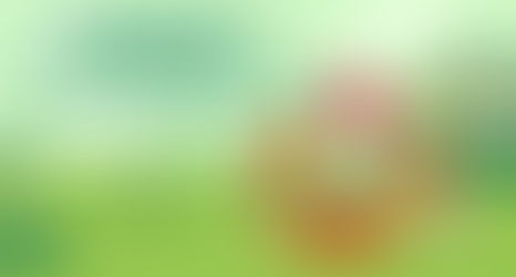 Help Our Garden Grow – Volunteer with Us!