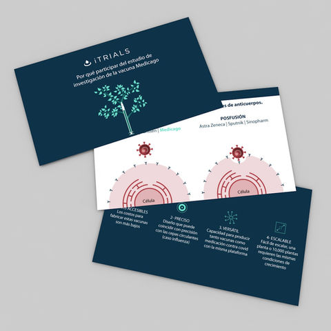 2-Presentacion Medicago1.jpg