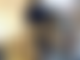 The Raven's Wing Shadow Vararfeldr