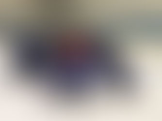 A Warm Evening on the Ice with a Special Guest