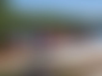 The Heart of NorthStar: Voices from Our Volunteers