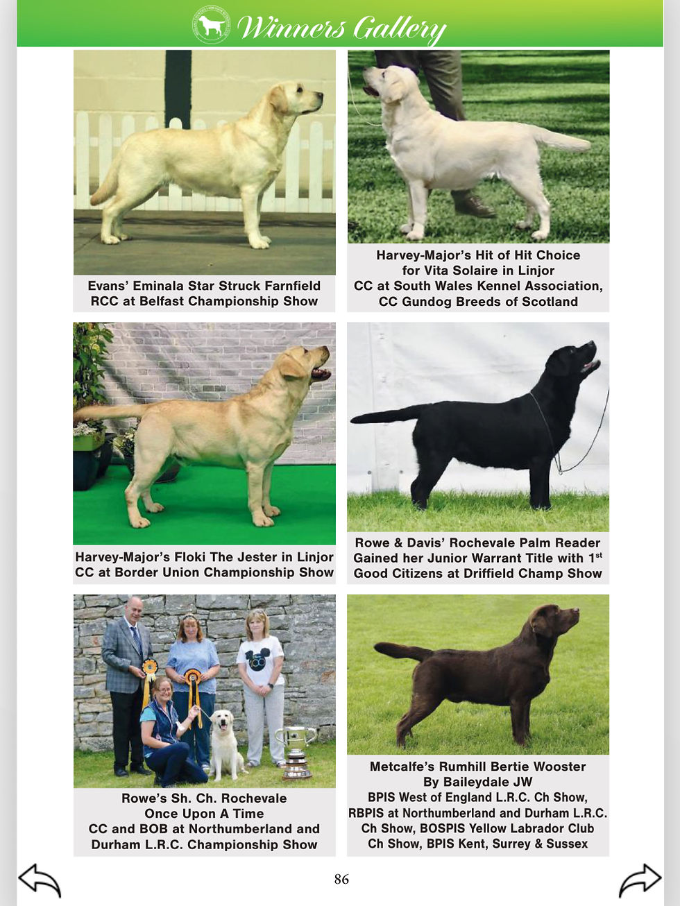 Thumbnail: 2025 Winners Gallery Photo