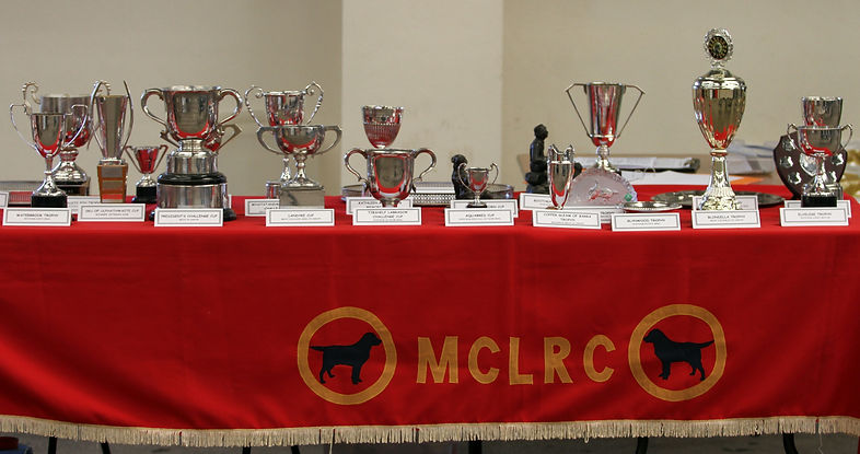 trophies .jpg
