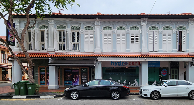 Architecture Conservation Conserved Building Shophouse Restoration Singapore