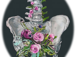  What is the PELVIC FLOOR?