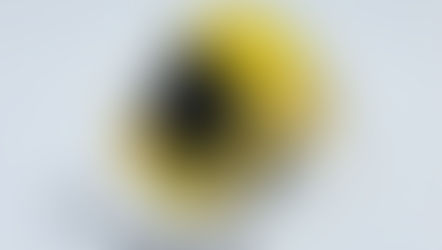 Sony Sports SRS-35 Active Speaker System