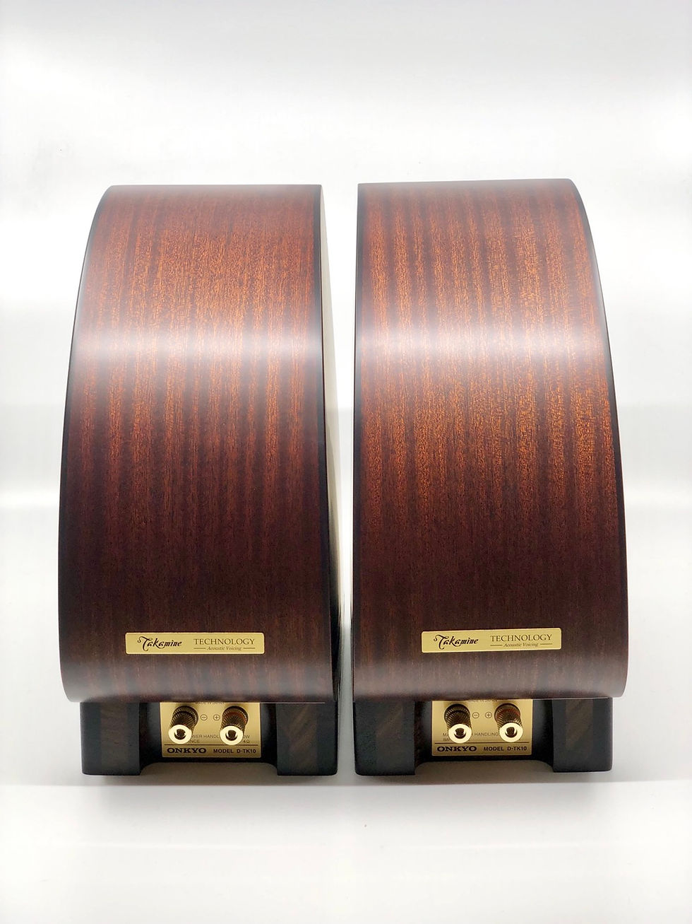 Onkyo D-TK10 Speaker Onkyo x Takamine