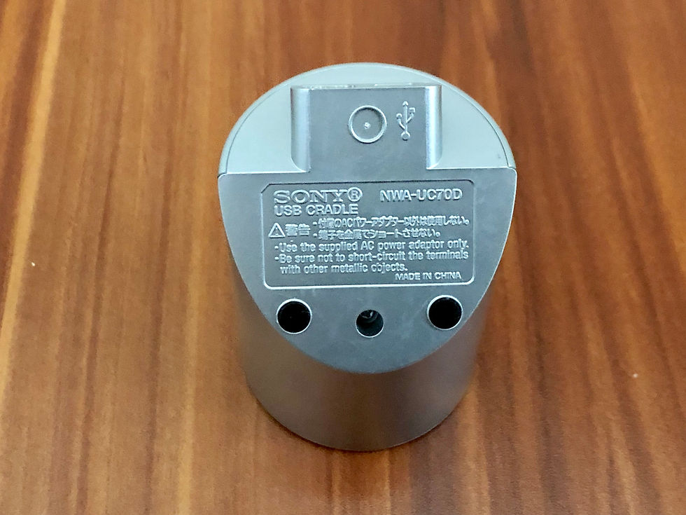 Sony Network Walkman NW-MS700 Portable Digital Music Player