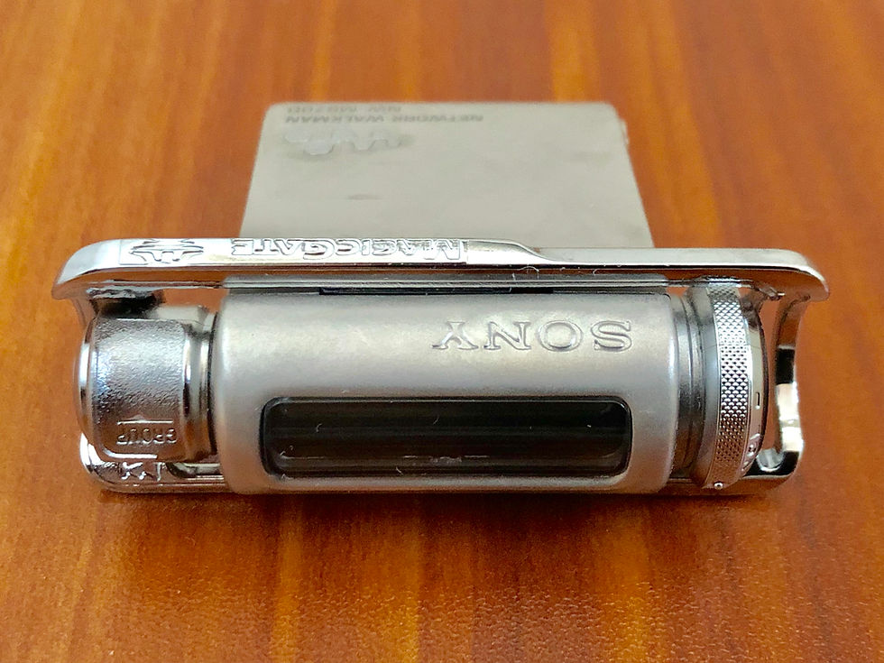 Sony Network Walkman NW-MS700 Portable Digital Music Player