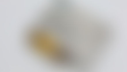 Denon DMP-R50 Silver MD Recorder