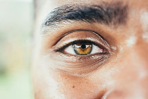 gayatri-malhotra-pXO2ceFOrOk-unsplash.jpg