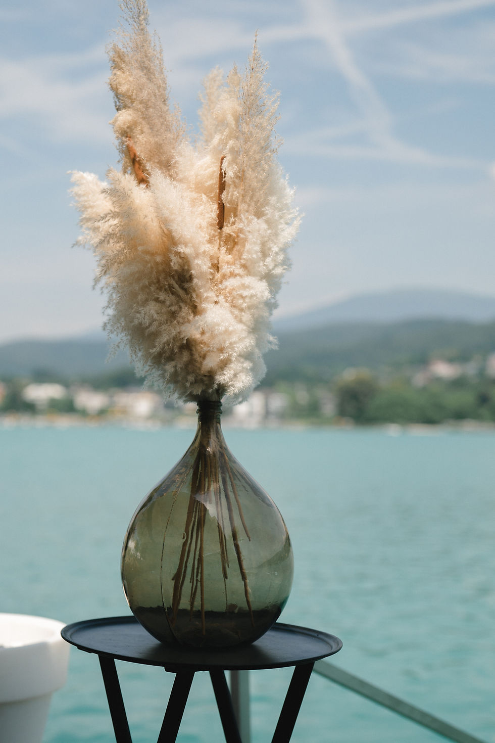 pampasgras-sol-beach-velden-am-woerthersee-5.jpg