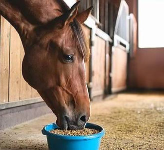 b73f23c6-5597-4ad2-9e3d-c3de3373b269.jfif