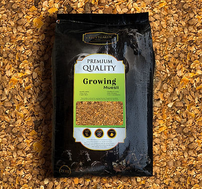 WhatsApp Image 2026-02-05 at 2.20.37 AM (1).jpeg