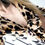 Miniatura: Top leopardo