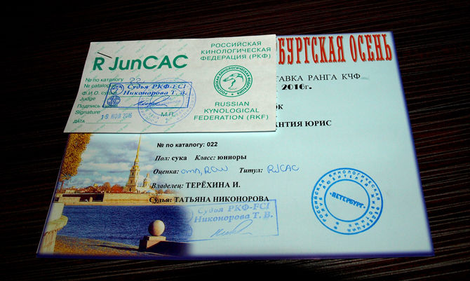 УСПЕХИ и ПОБЕДЫ!