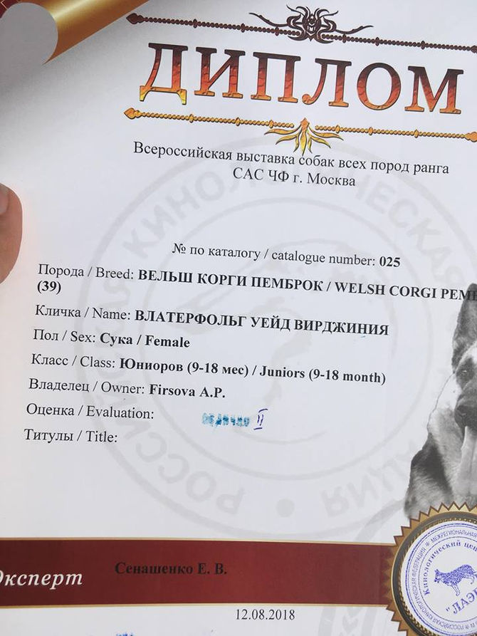 Успехи и Победы!