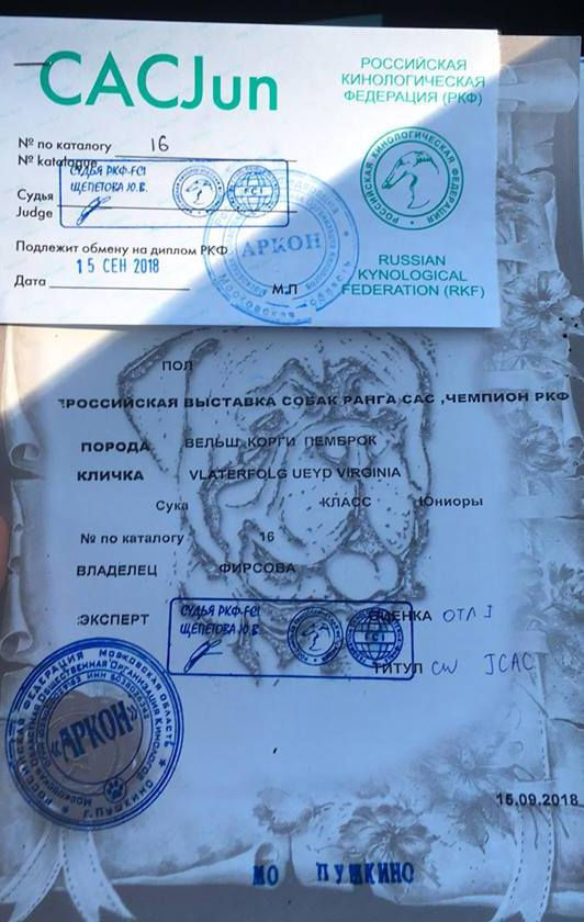 Успехи и Победы!