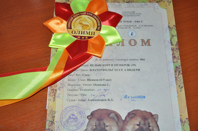 УСПЕХИ и ПОБЕДЫ!