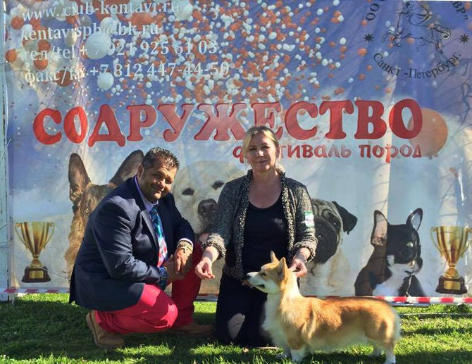 Успехи и Победы!