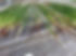 home-reeds-on-jetty.jpg