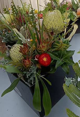 CONTACTS - Boxed Native for event.jpg