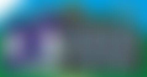 Groupe Coupe de France