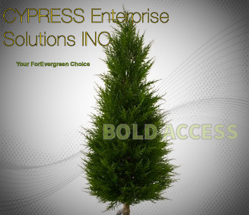 CYPRESS INC .JPEG