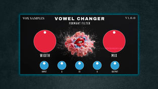 Vox Samples Release FREE Vowel Changer Plugin