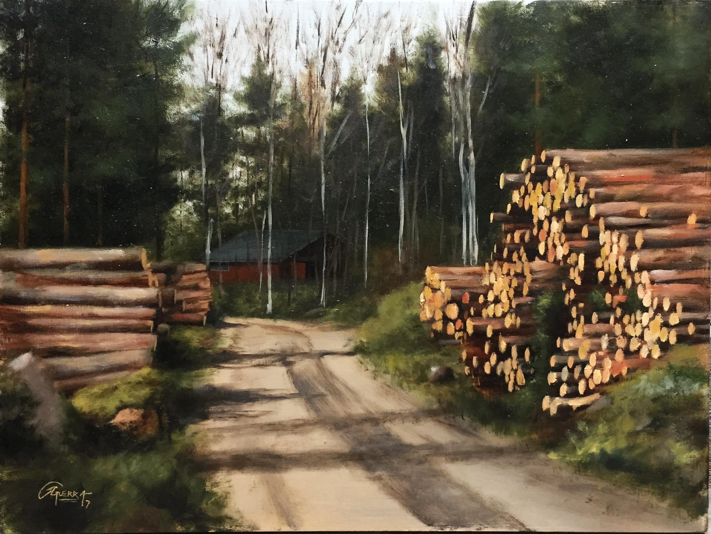Wood Trunks on an Earth Road
