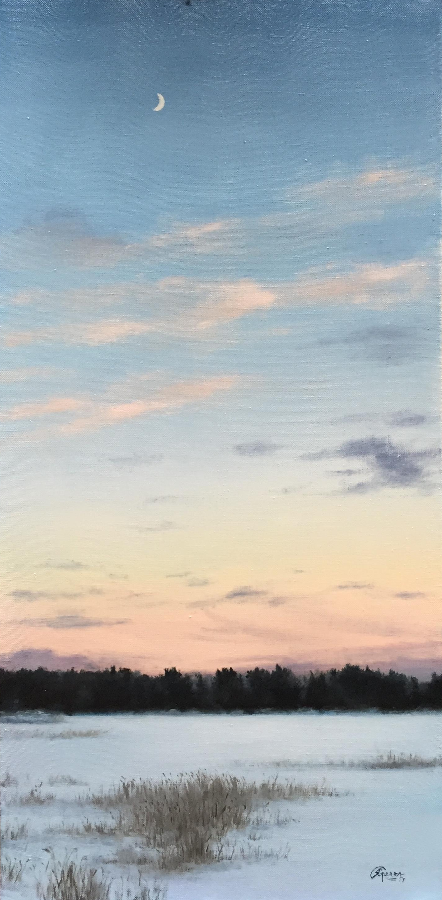 Finnish Sky in Winter, Rafael Guerra