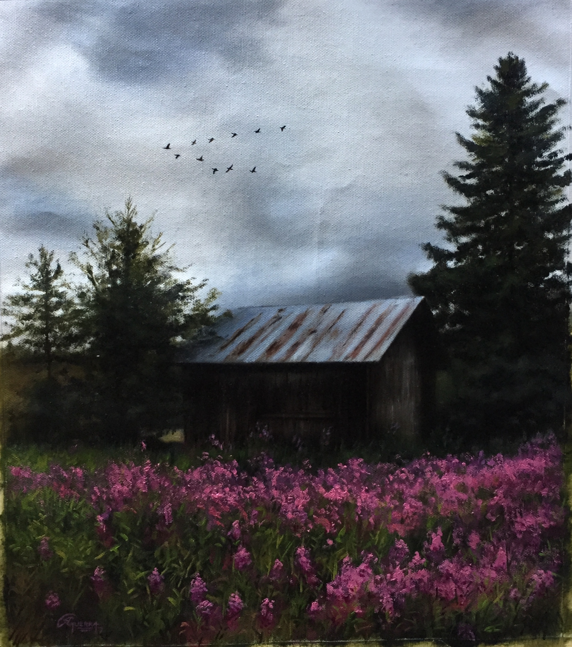 Finnish Scape on a Cloudy Day
