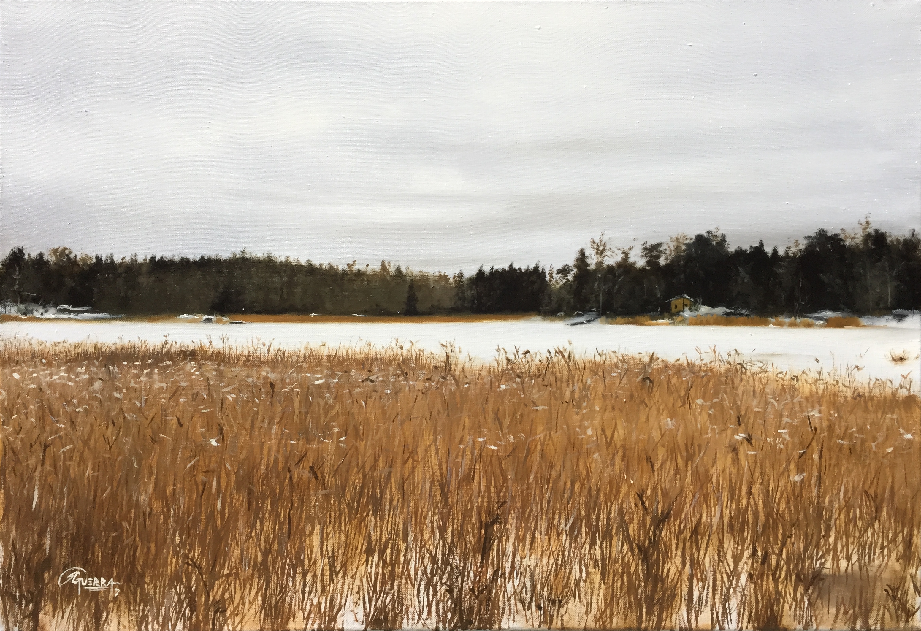 A Finnish Lake in November, Rafael Guerra